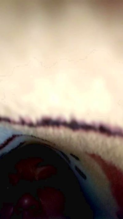 vulma4's sex show image