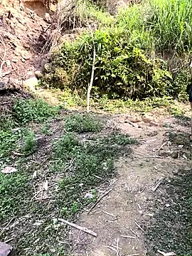 Felicity-1's sex show image