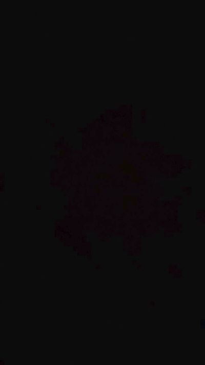 estrella229's sex show image