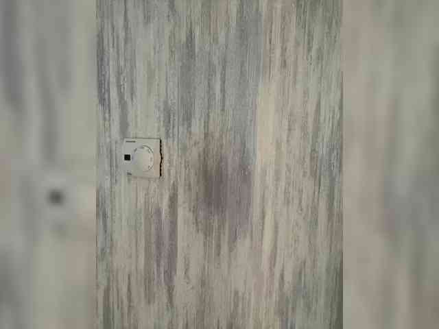 CurvyWoman-'s sex show image CurvyWoman-'s sex show image