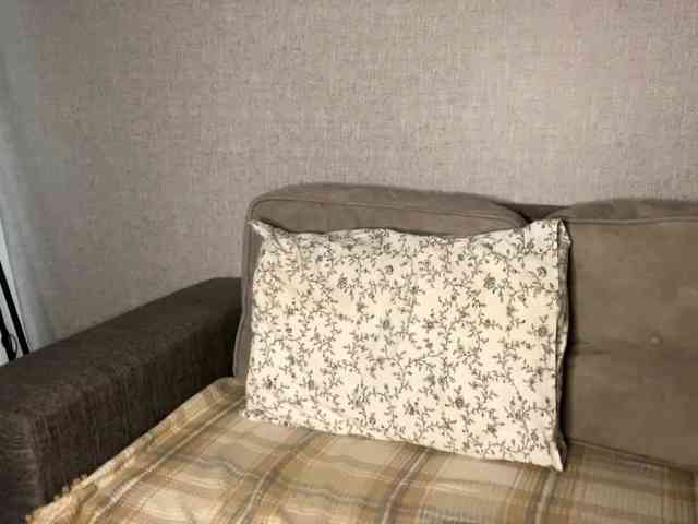 DeberaWarsham's sex show image DeberaWarsham's sex show image