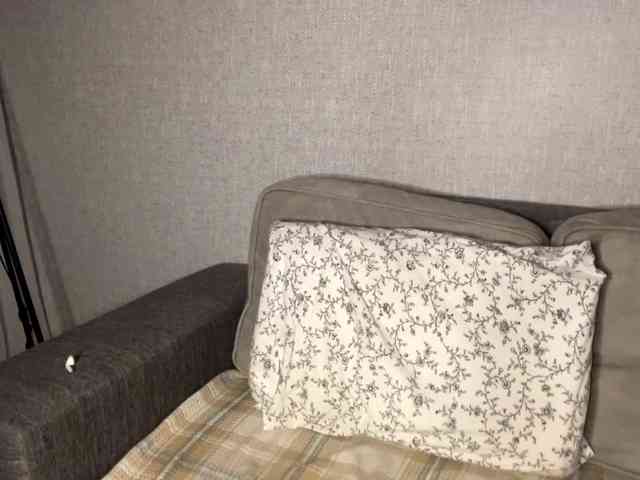 DeberaWarsham's sex show image DeberaWarsham's sex show image