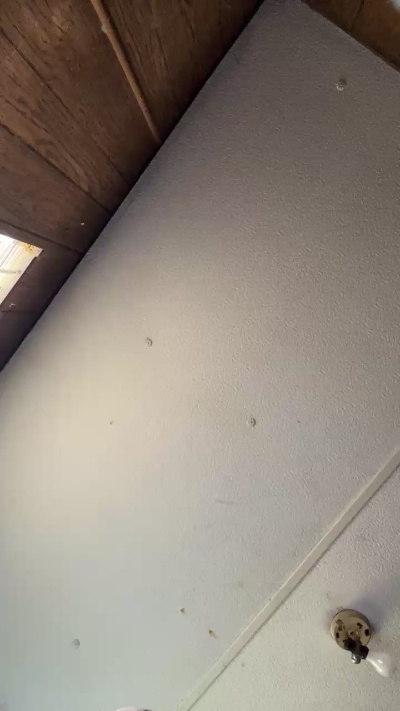 Cosmic_sunshine's sex show image