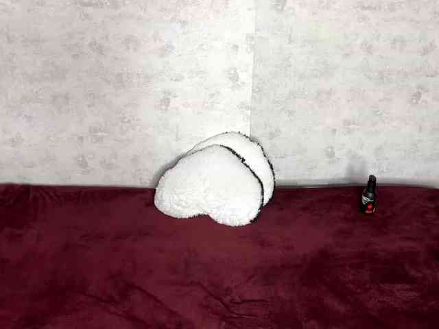 KittyNolick's sex show image KittyNolick's sex show image