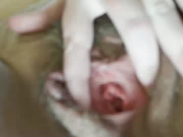 sexyamanda1993's sex show image