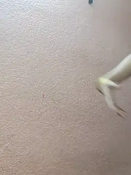 Sugar-n-spicy's sex show image