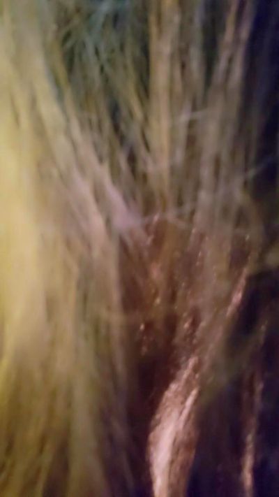 Изображение секс-шоу модели Roxannepiggy