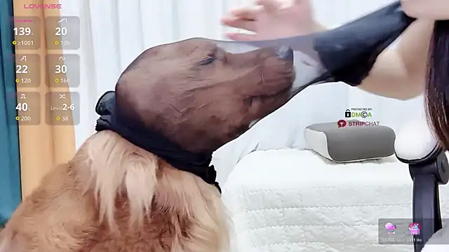 808dass's sex show image 808dass's sex show image