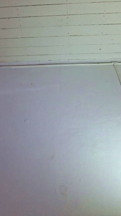 Caritovivi's sex show image