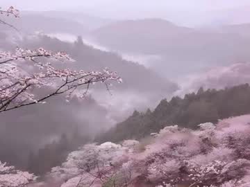 brandeeherout's sex show image