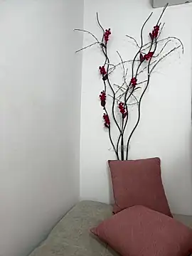 cala_borhan's sex show image