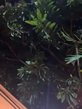 aurora_coldd's sex show image aurora_coldd's sex show image