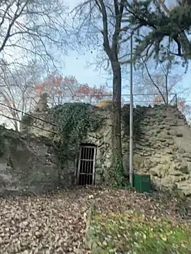 fioralba's sex show image