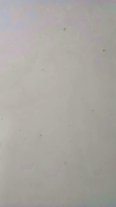 cielo694's sex show image