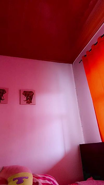 sara_jonnes's sex show image