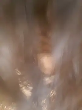 Jinaas's sex show image