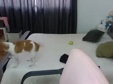 Sexshow-Bild von crazygirlsweet