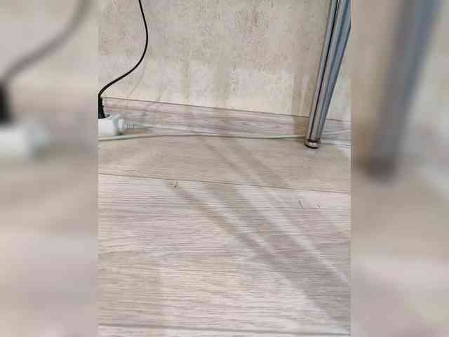 Sexshow-Bild von Angelia22