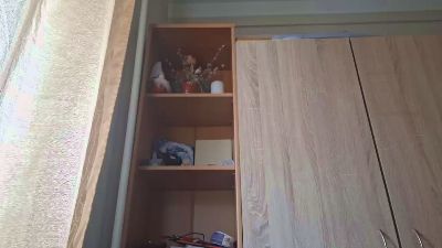 SommerHandke's sex show image