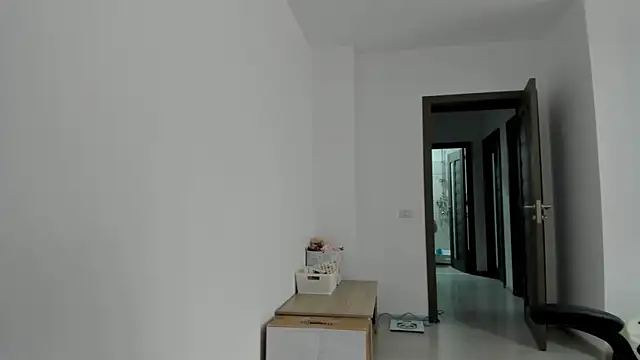 amiraisa11's sex show image