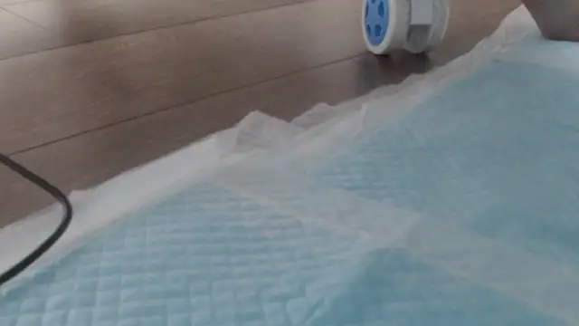 asuka_xoxo's sex show image