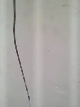 Изображение секс-шоу модели Cute_Kavya7