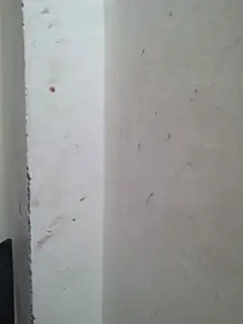 Cute_Kavya7's sex show image
