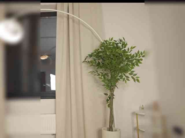 babysashababy's sex show image