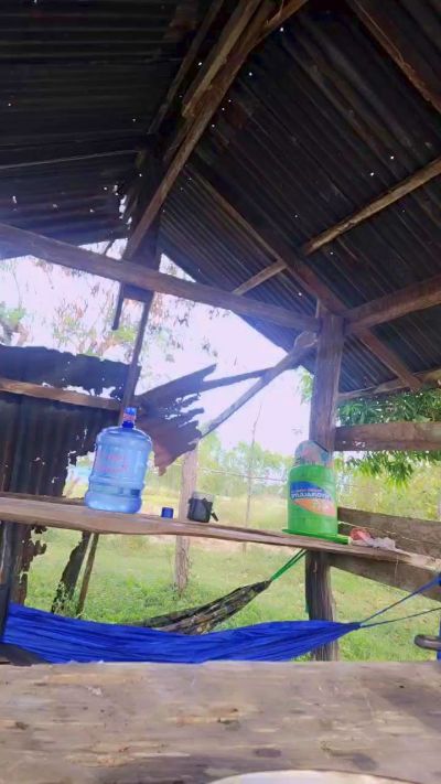 Изображение секс-шоу модели studentthaigirl