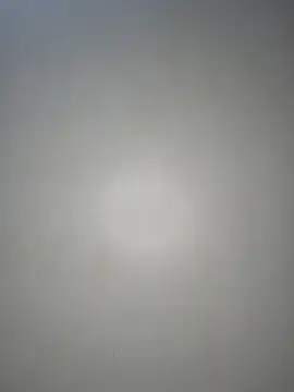 NicRaisaa's sex show image