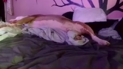 1800fuckyu's sex show image