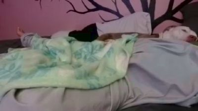 1800fuckyu's sex show image