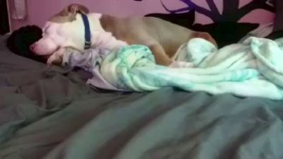 1800fuckyu's sex show image