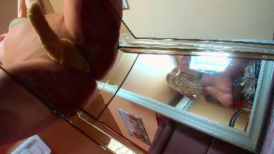 _MissMiracle_'s sex show image