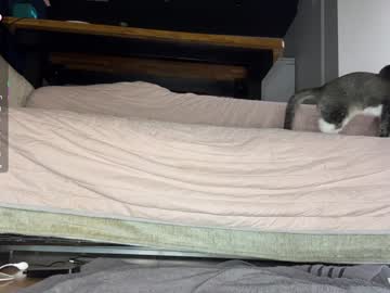 ardeliacarhart's sex show image ardeliacarhart's sex show image