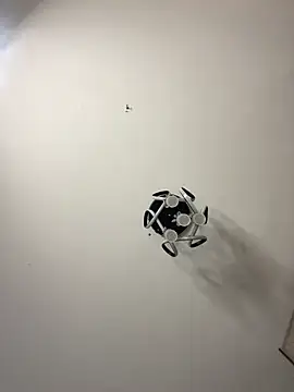 RoyalVibeXO's sex show image