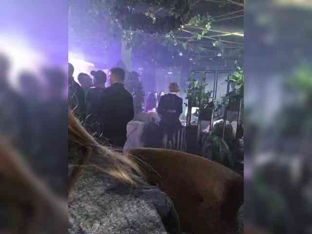 Изображение секс-шоу модели TerriRose