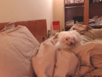 andrasweetie's sex show image