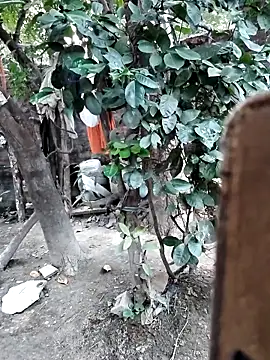 Изображение секс-шоу модели Hot_malika1