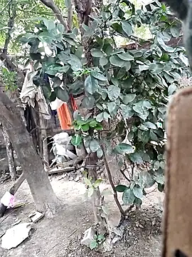 Изображение секс-шоу модели Hot_malika1