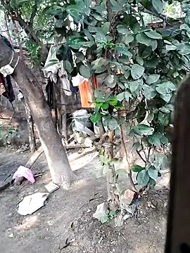 Изображение секс-шоу модели Hot_malika1