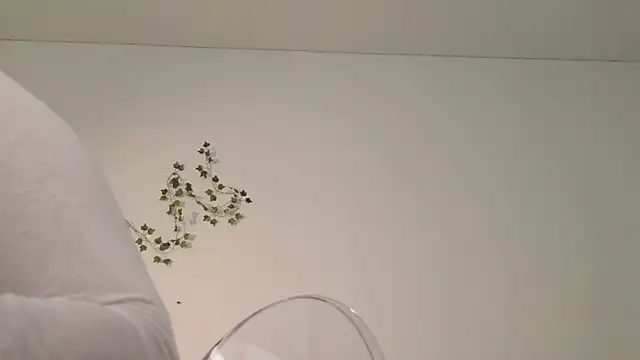 slow_flower's sex show image