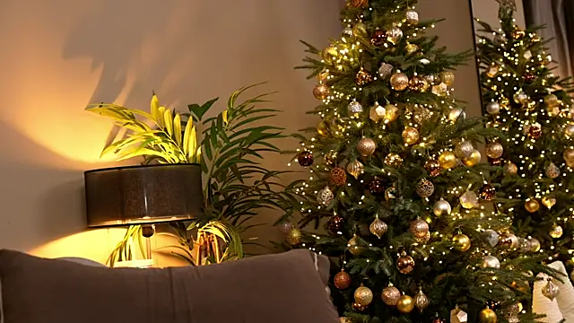 _keeti_'s sex show image