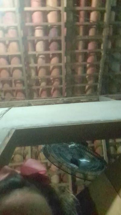 Изображение секс-шоу модели capetinha1821