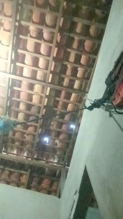 Изображение секс-шоу модели capetinha1821