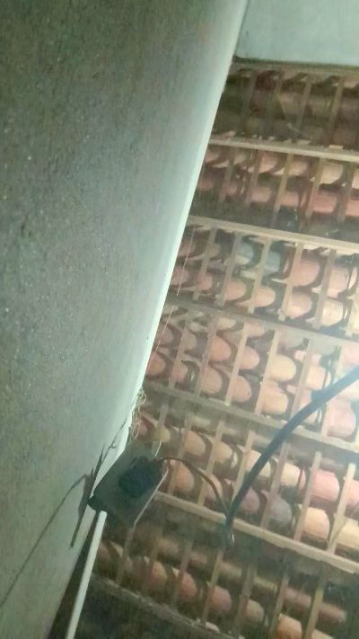 Изображение секс-шоу модели capetinha1821