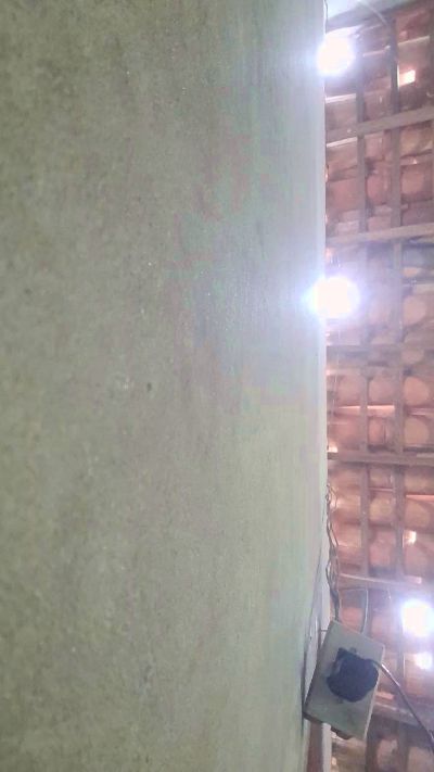 Изображение секс-шоу модели capetinha1821