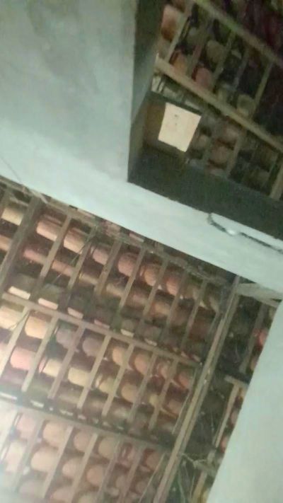 Изображение секс-шоу модели capetinha1821