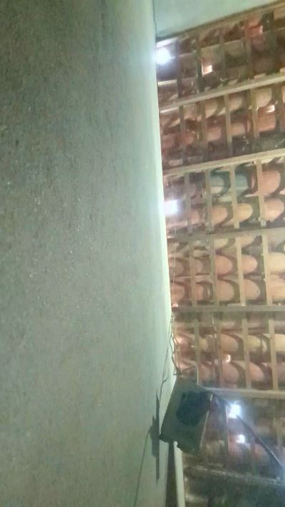 Изображение секс-шоу модели capetinha1821