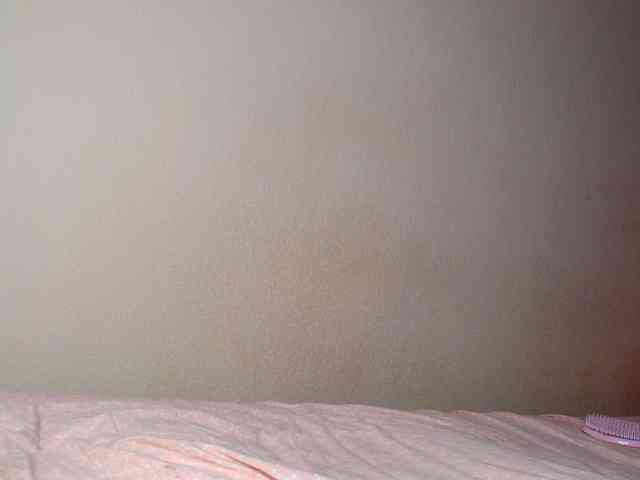 aliceTurner21's sex show image